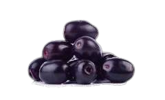 in1 removebg preview