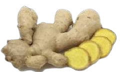 in2 removebg preview