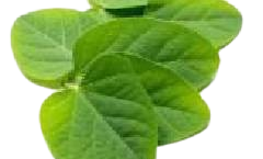 in3 removebg preview