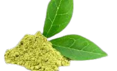 in4 removebg preview