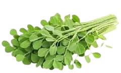 in5 removebg preview