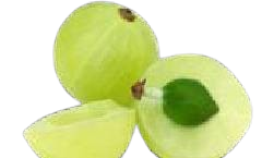 in6 removebg preview